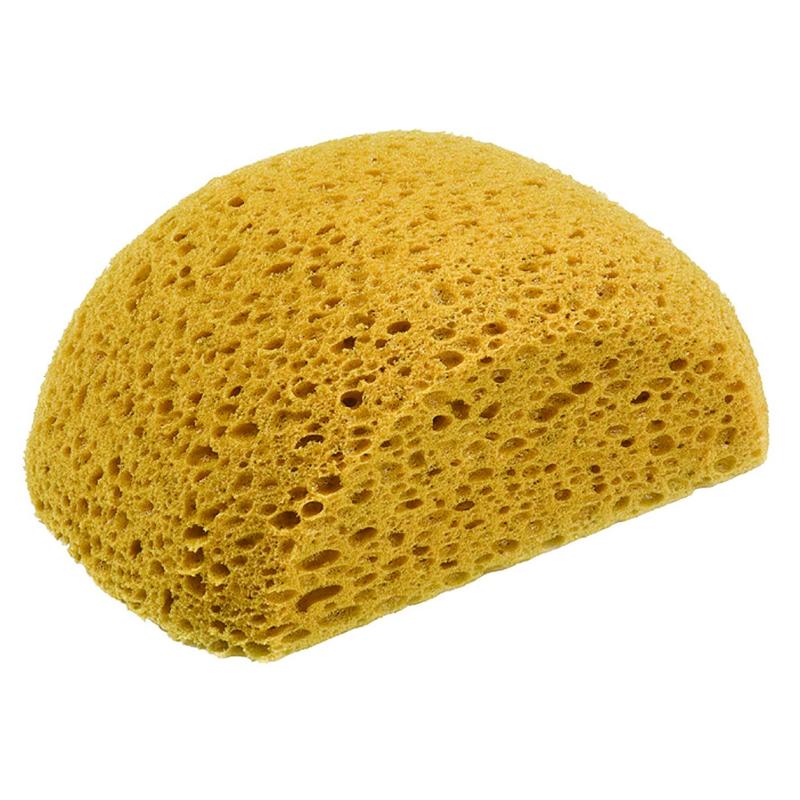 DTA DTATBS Turtle Back Sponge 180mm DTATBS